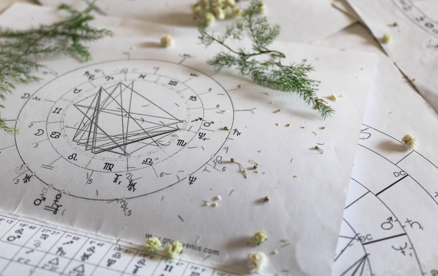 New Year astrology background