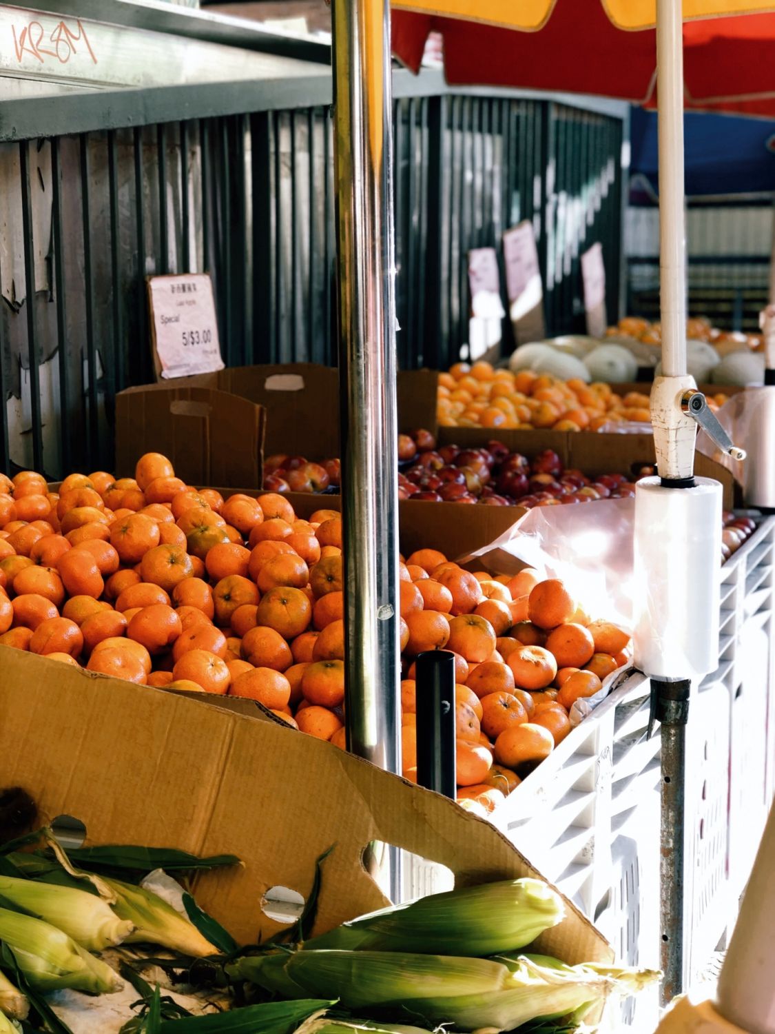 CLEANSES Photo Marquise Kamanke / Unsplash