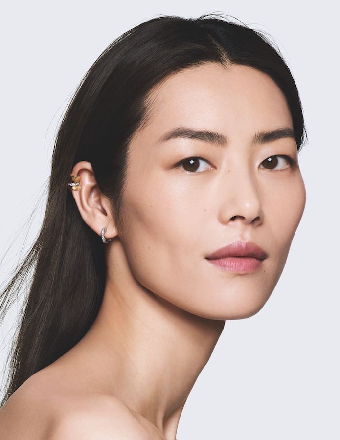Liu Wen