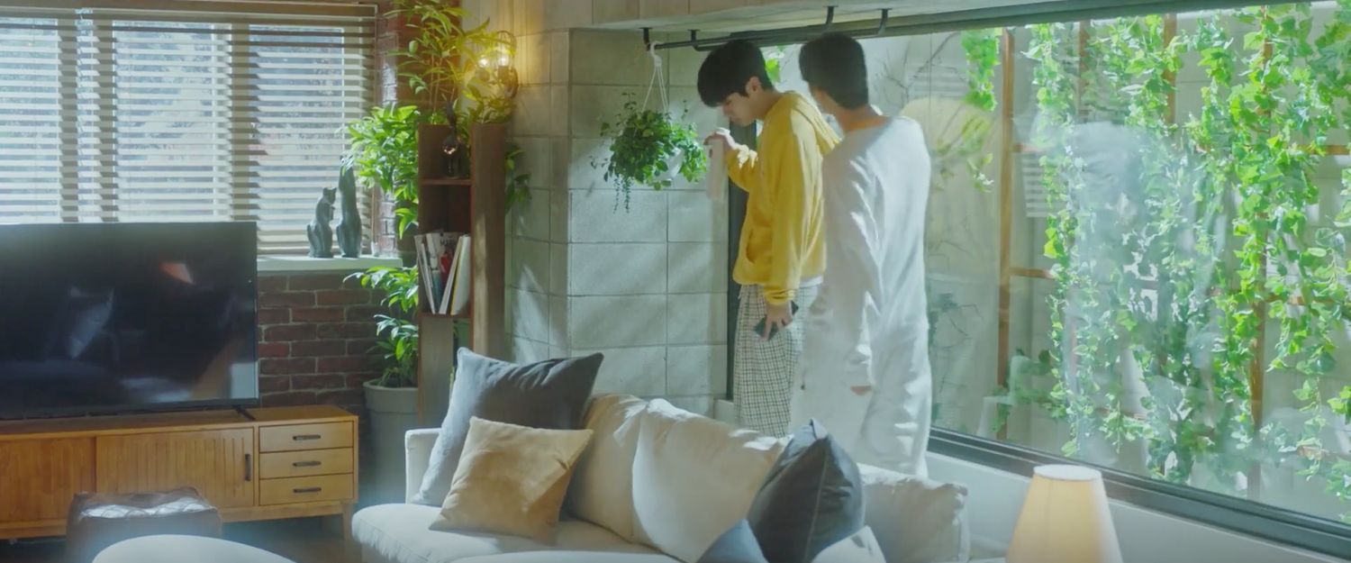 Lush indoor greenery can be found throughout Choi's abode