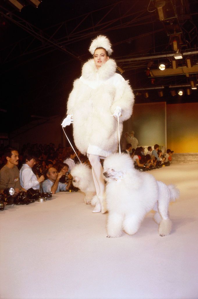 French fashion model Ines de la Fressange models ready-to-wear women's fashions by French fashion designer Thierry Mugler during a 1982-1983 Fall-Winter fashion show in Paris. She leads two white poodles on leashes as she models a white and cream fur coat with a fur headdress. (Photo by Pierre Vauthey/Sygma/Sygma via Getty Images)