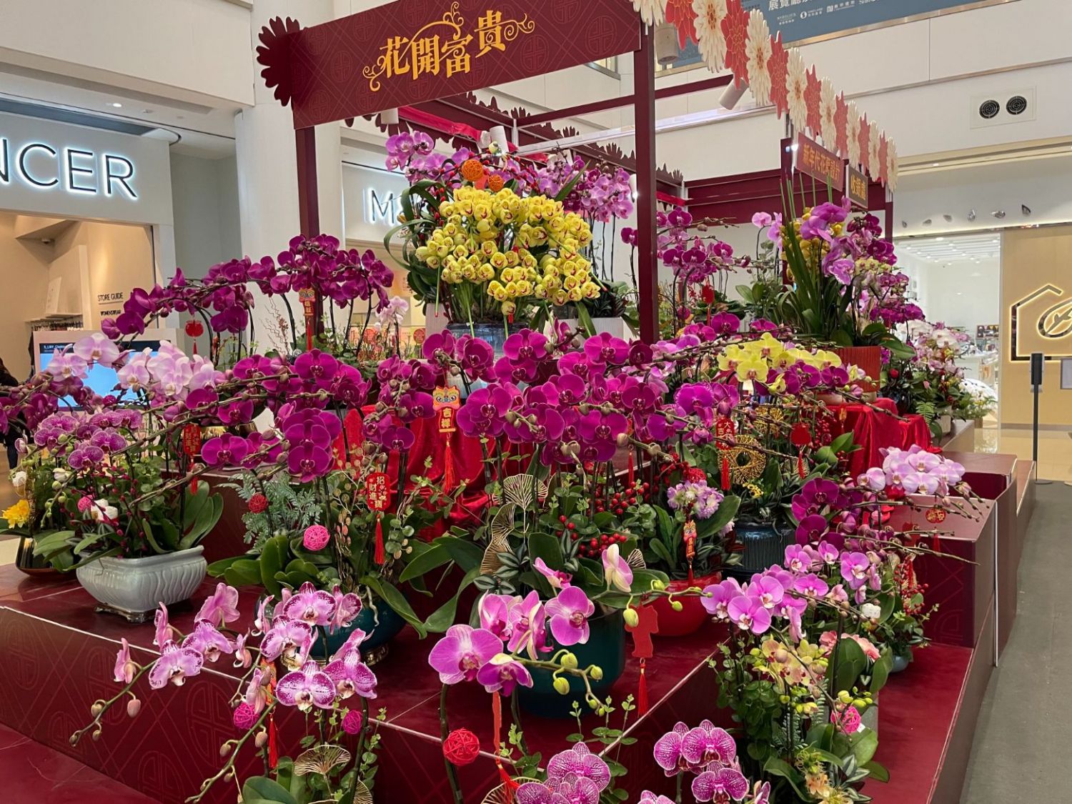 奧海城「新春百味市集」、「新春賀年花市」
