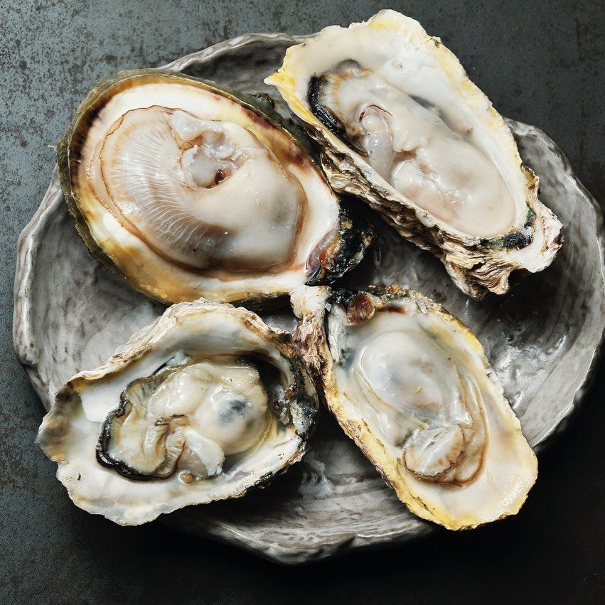Fresh oysters | Photo: @wantusawaoysters/Instagram