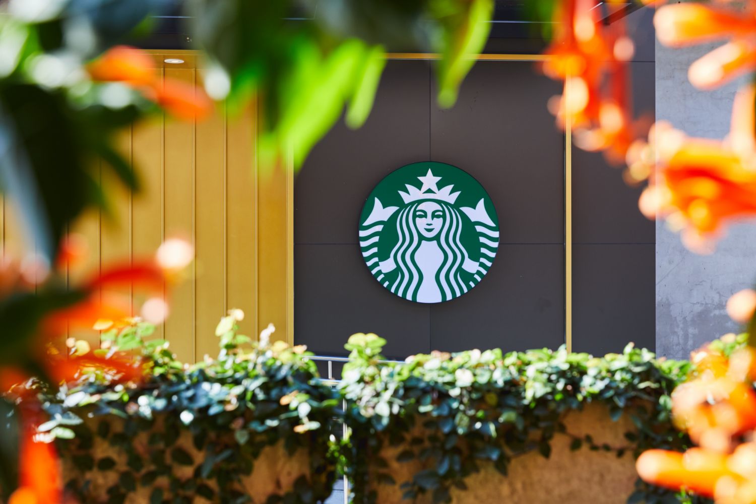 Starbucks嘉義中埔穀倉門市