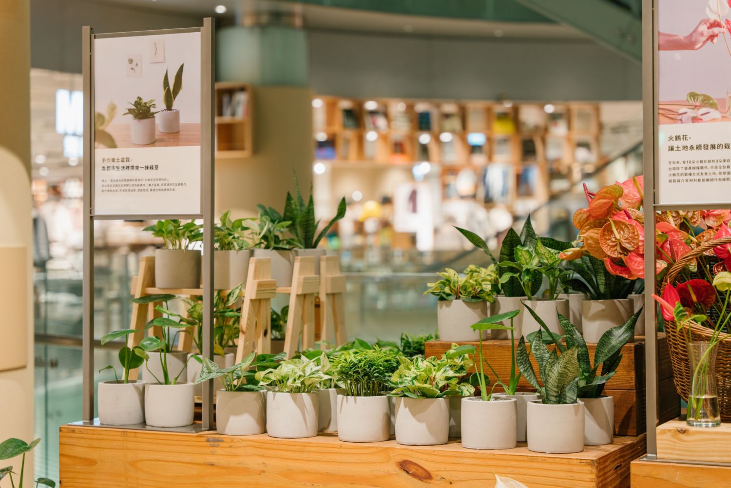 MUJI