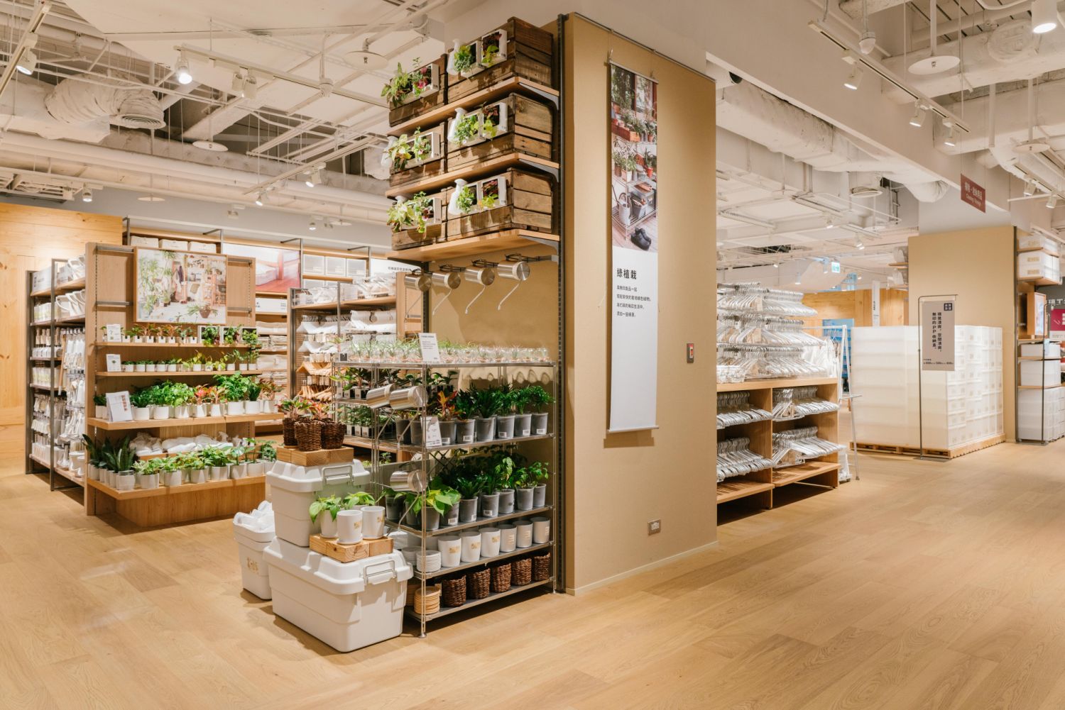 MUJI