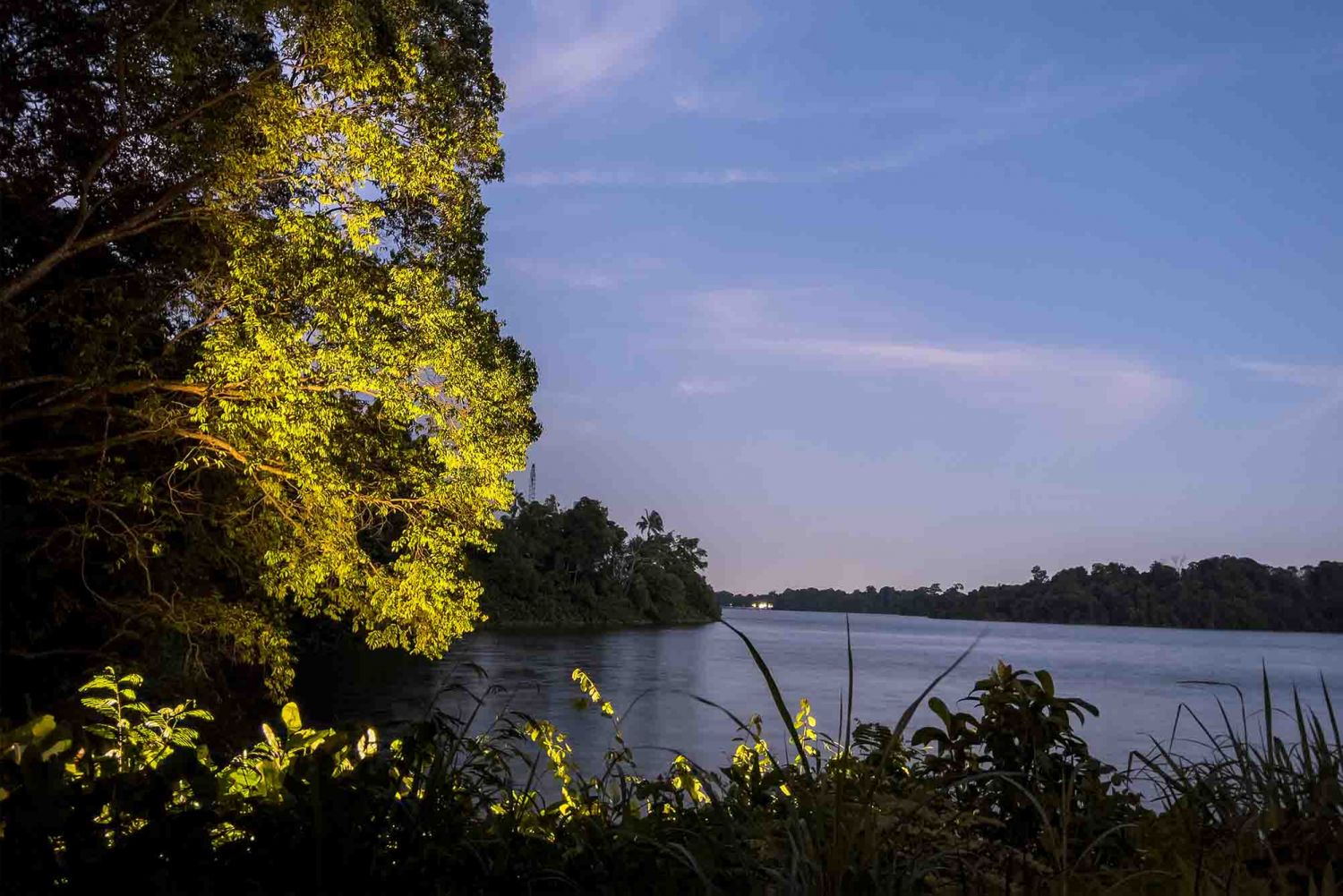 Photo: Darren Soh
