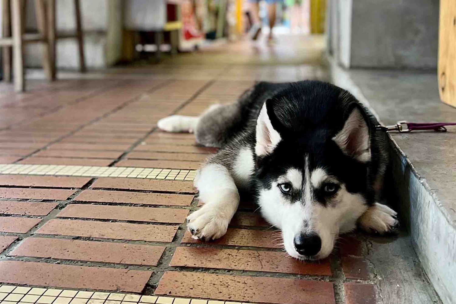 Photo: Nicole Quek