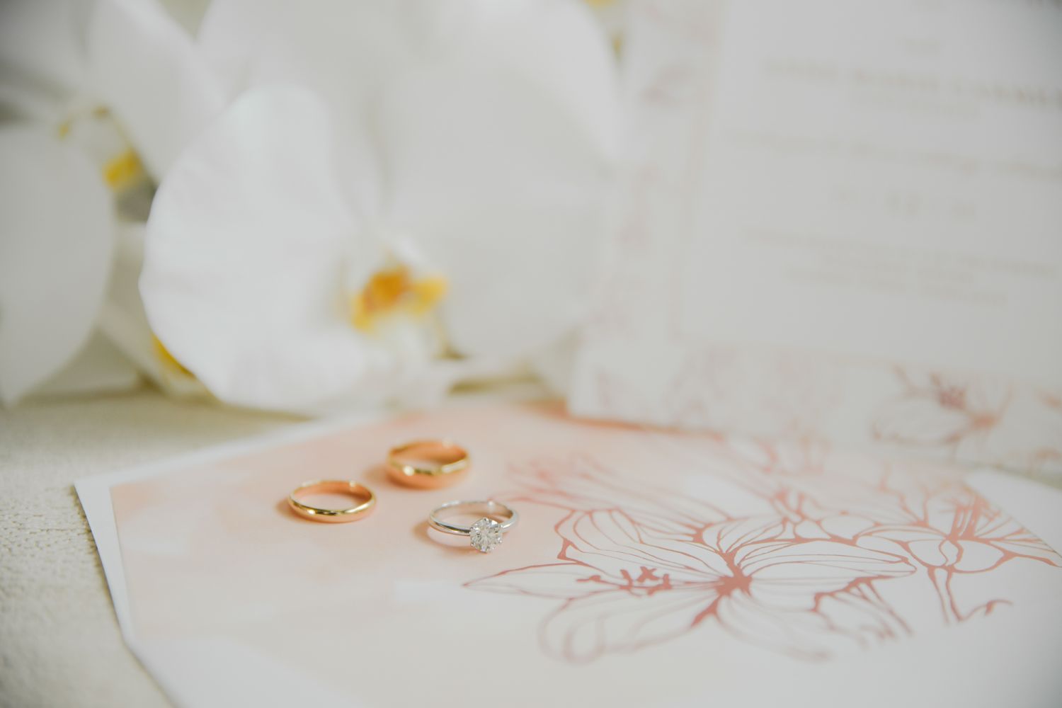 Ring bands