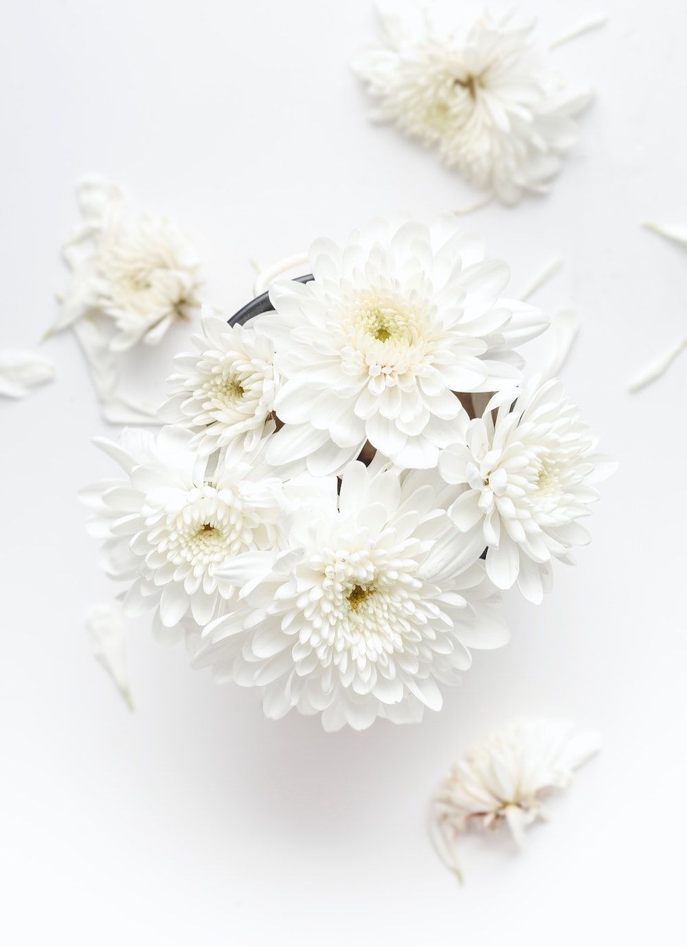 To some, chrysanthemums are associated with sorrow or sadness.