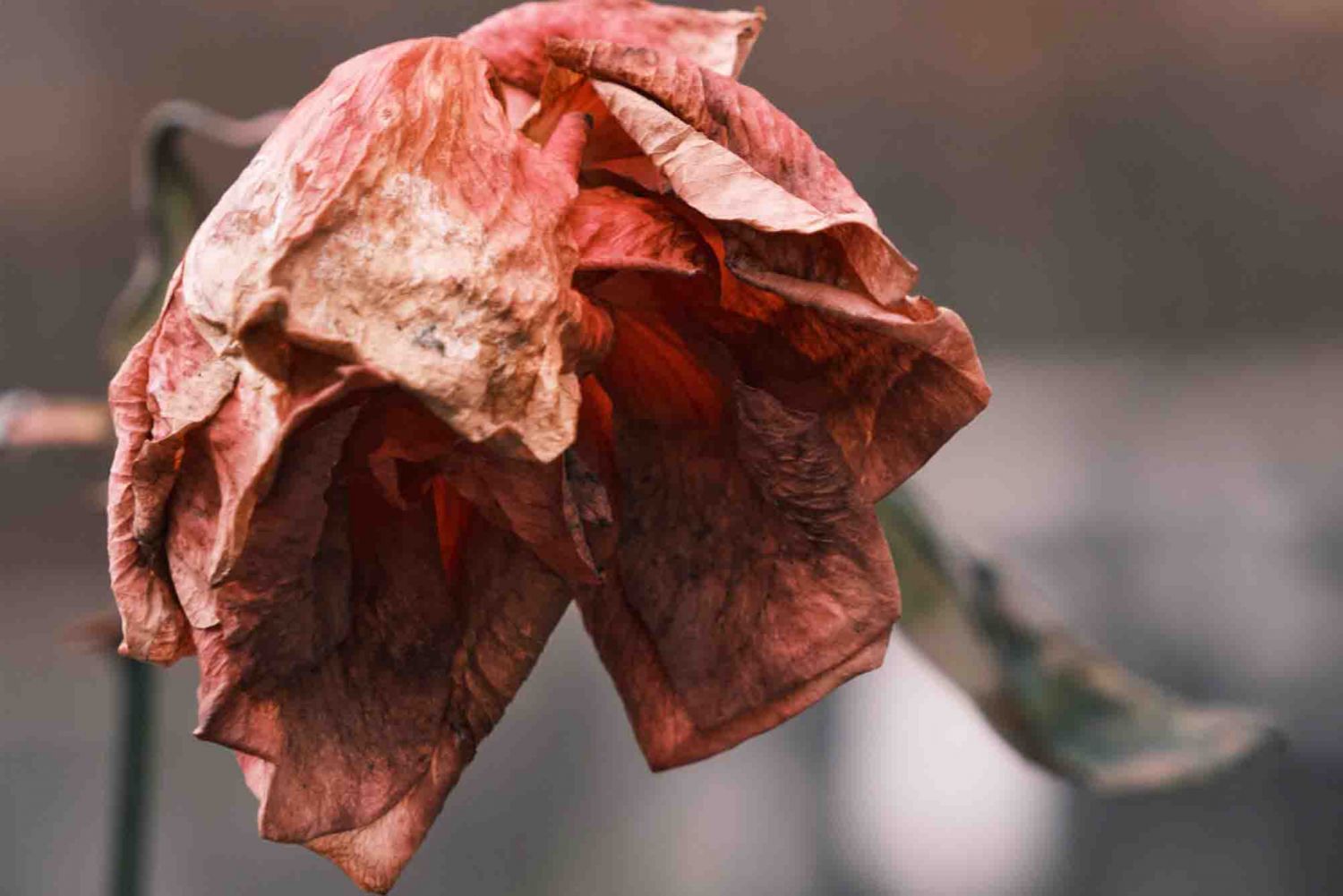 Photo: Unsplash
