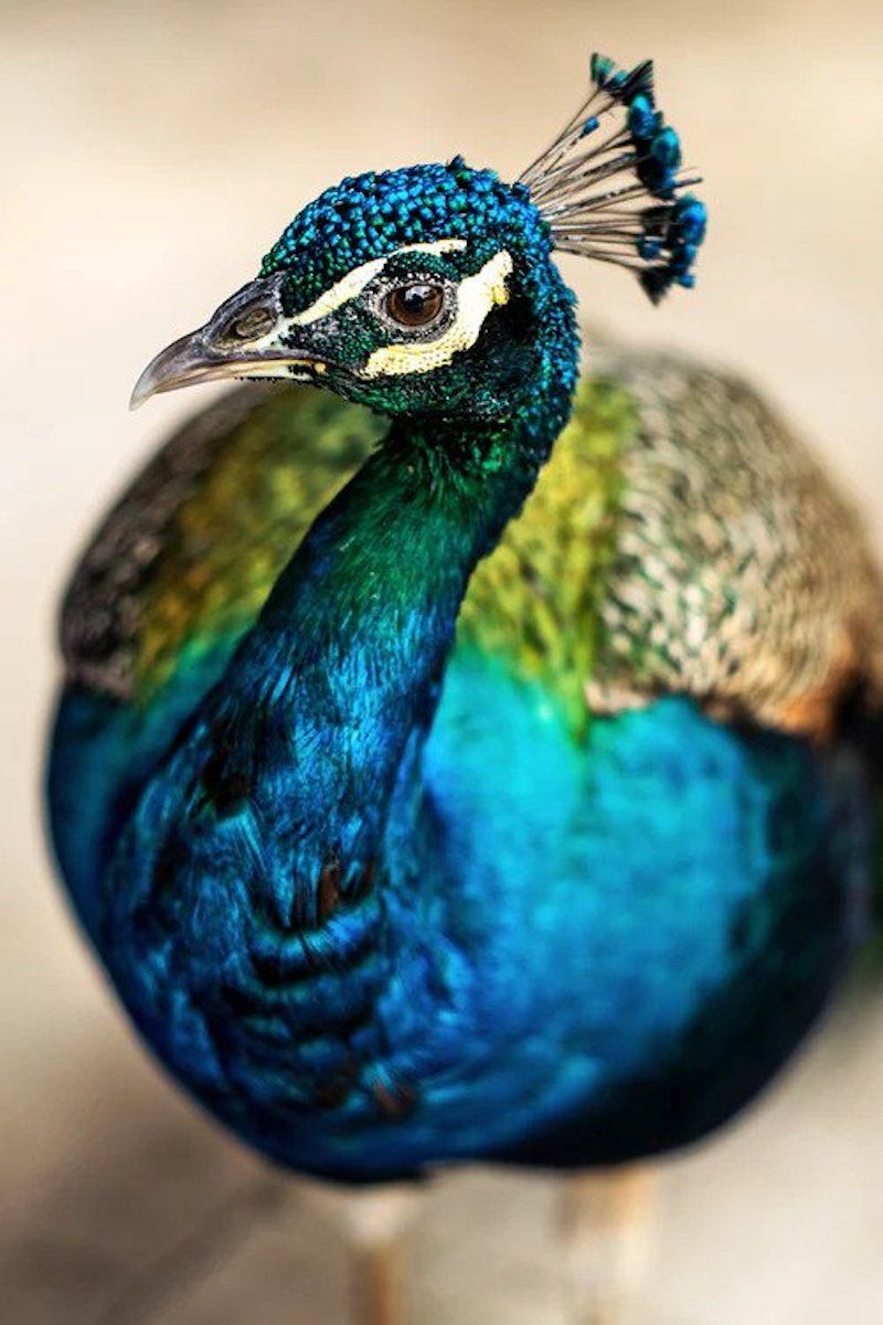 Photo: Unsplash