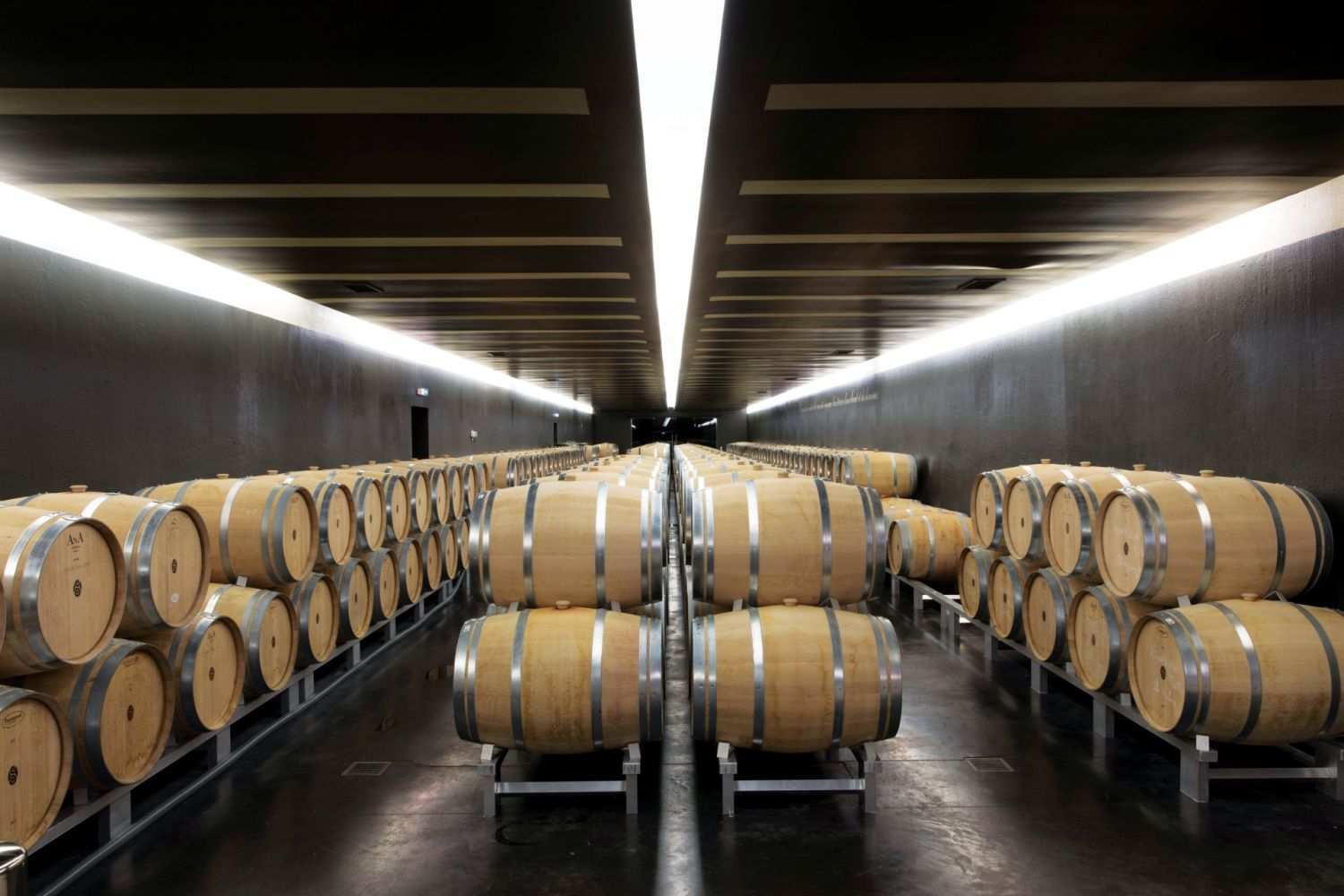 Barrel cellar’s French oak barrels