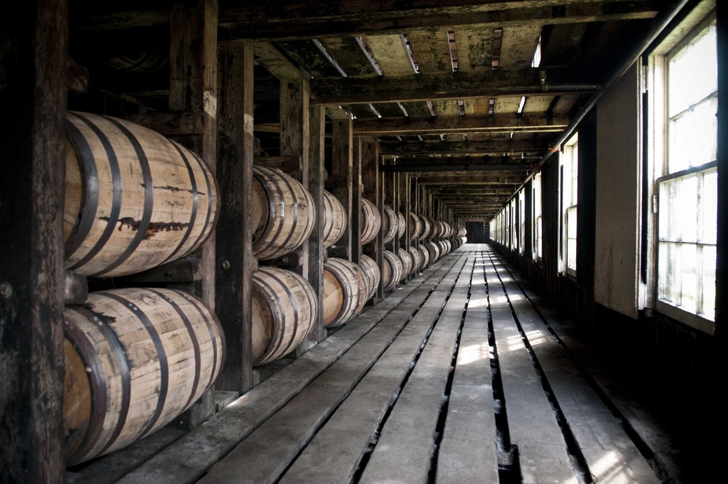 Wild Turkey distillery