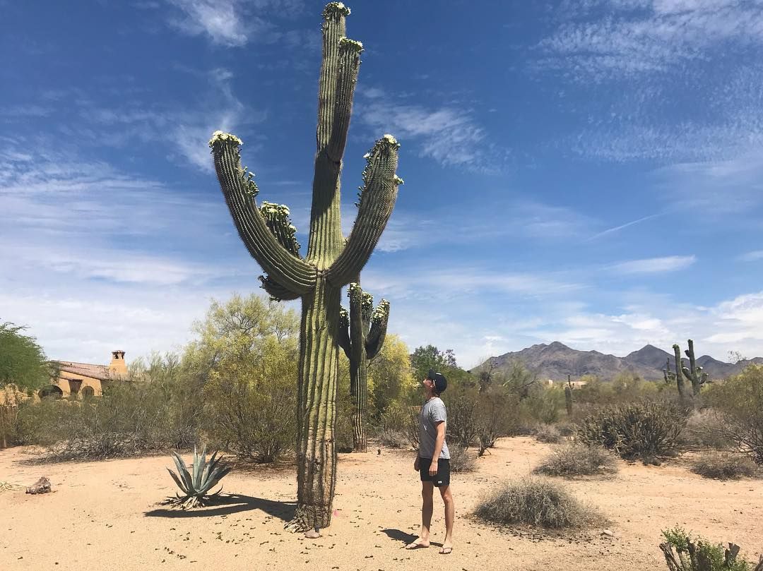 IG@ joe.alwyn