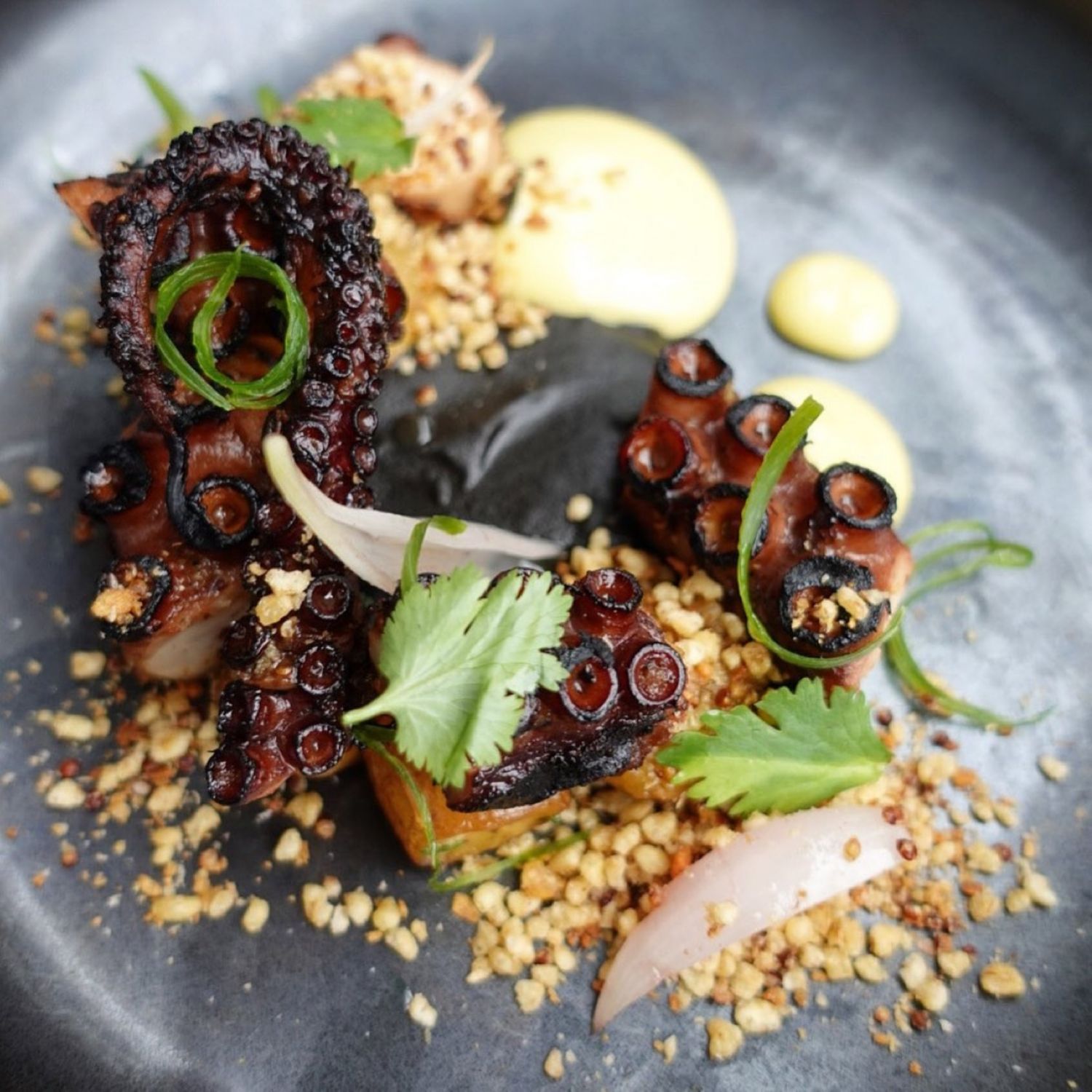Octopus adobo, garlic chips, roasted garlic aioli, and butter roasted fingerling potatoes