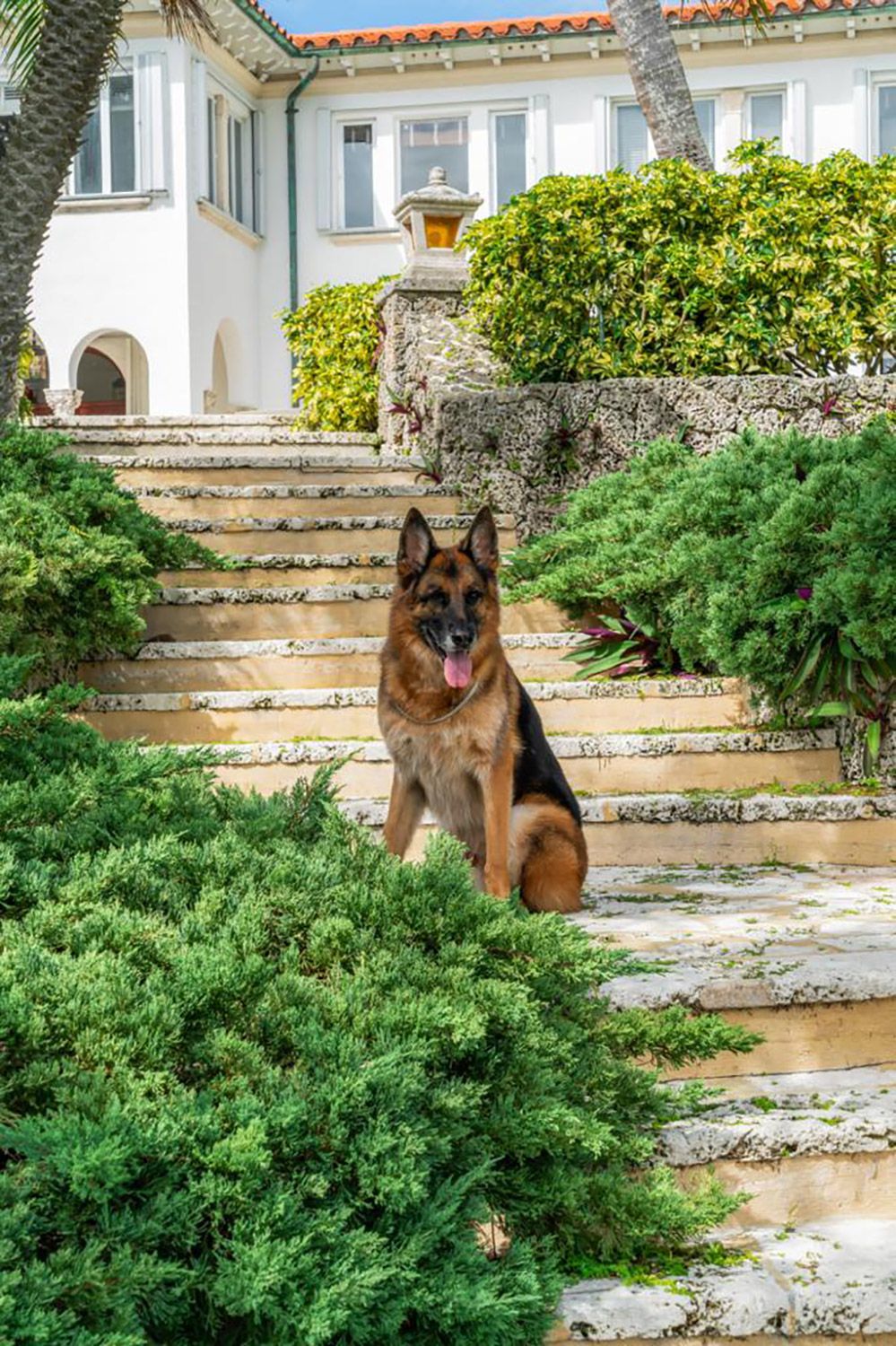 Richest Dog in the World Selling Madonna's Old House Credit: LPG for The Assouline Team at Compass