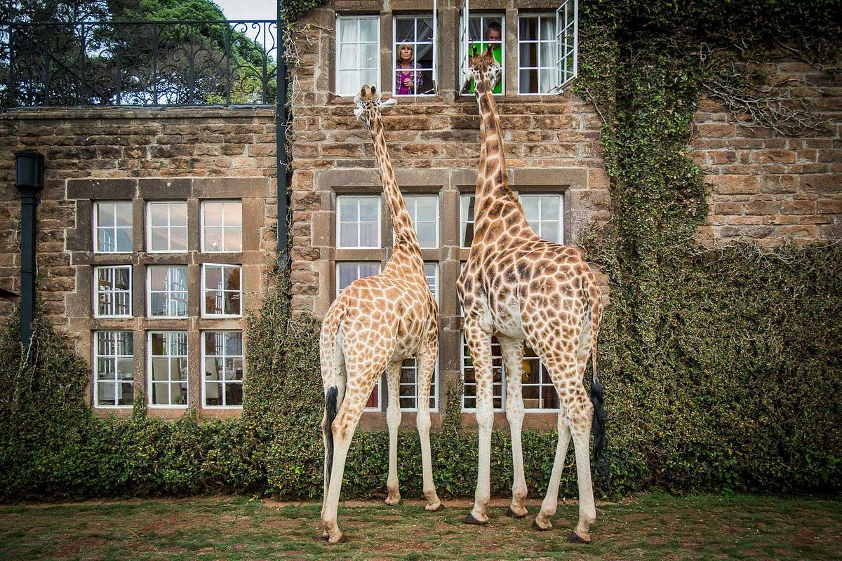 The Giraffe Manor (Photo: TripAdvisor)