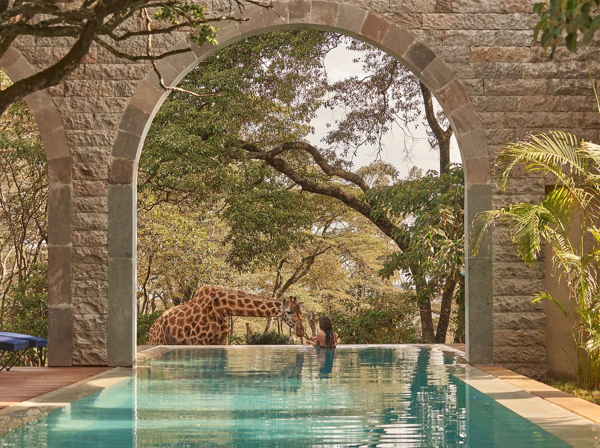 The Giraffe Manor (Photo: TripAdvisor)