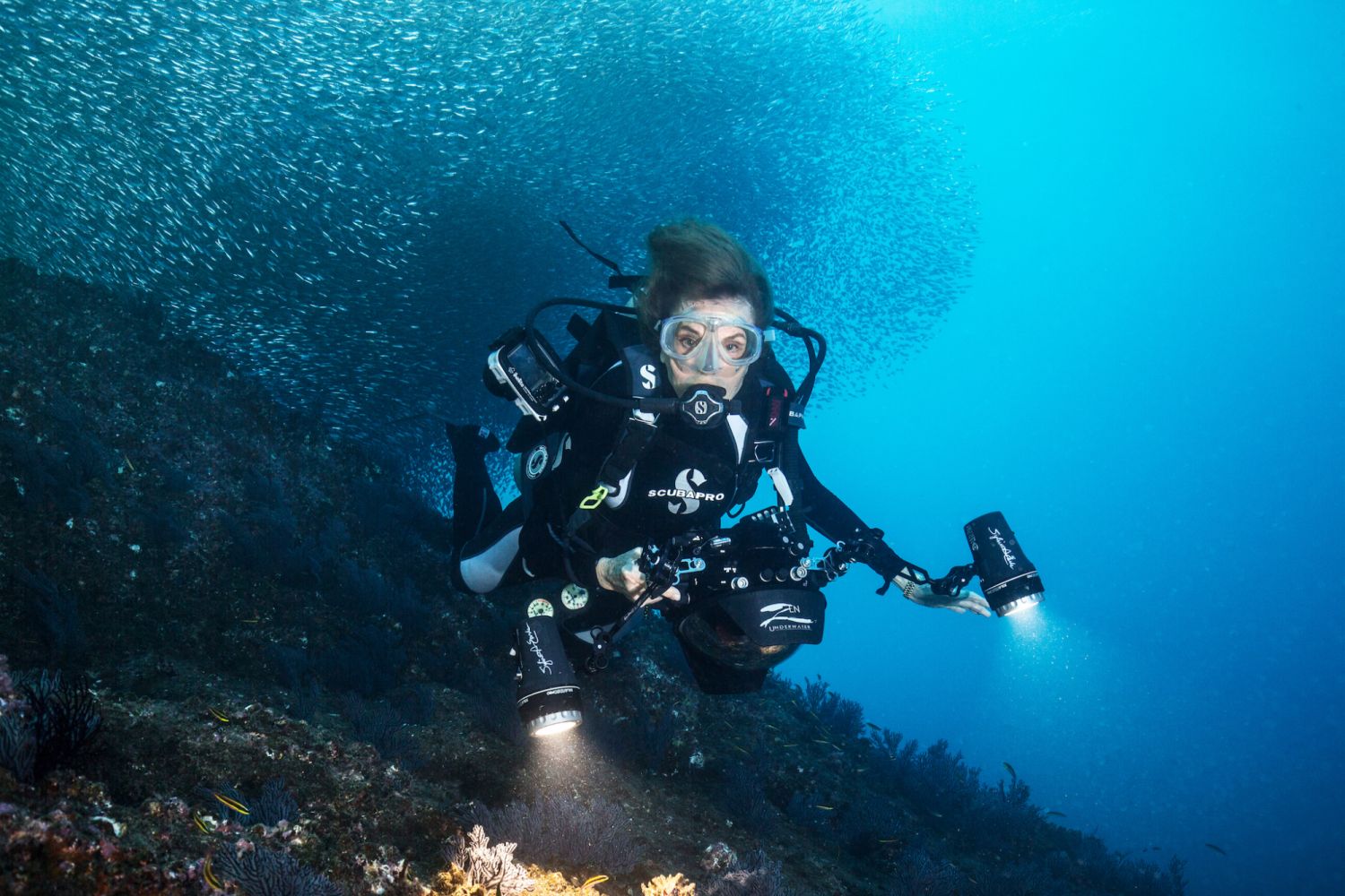 Sylvia Earle, founder of Mission Blue, during an expedition to a Hope Spot at Cabo Pulmo, Los Cabos, Mexico, in 2017.