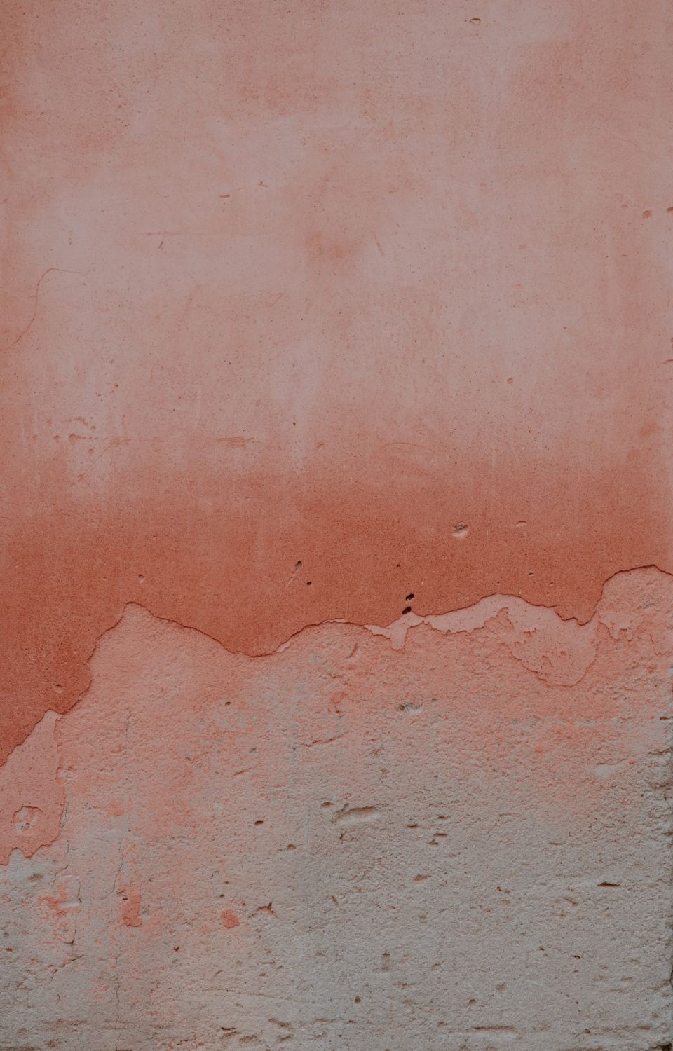TikTok Home Trends March 2022 Annie Spratt / Unsplash