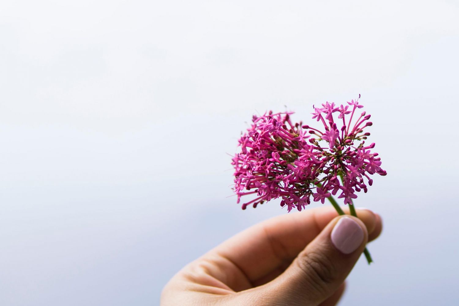 Photo: Unsplash
