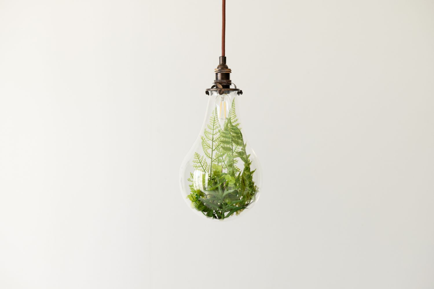 There are plants such as ferns inside the light bulb.