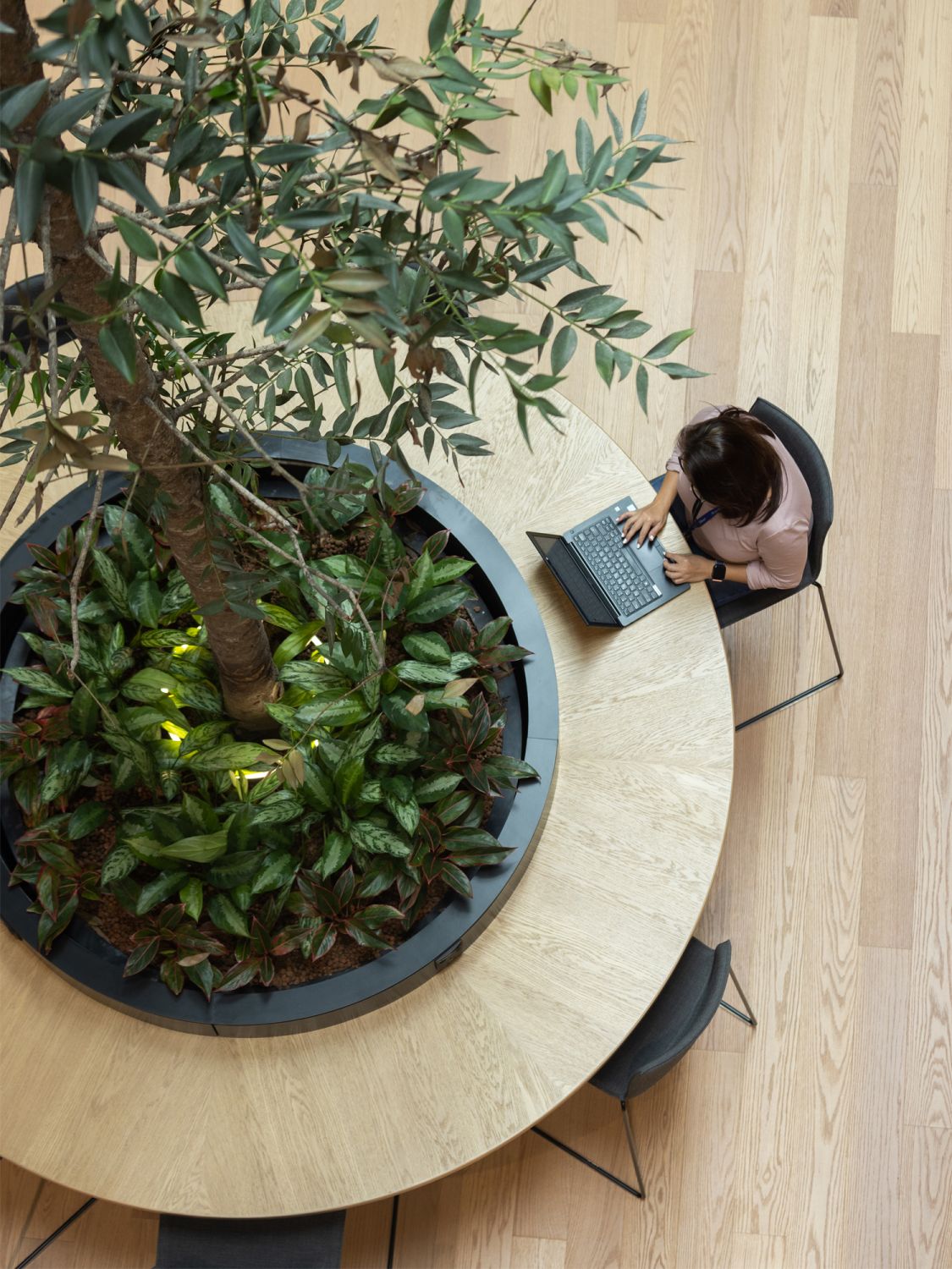 The building has several environmentally-friendly features, including indoor plants