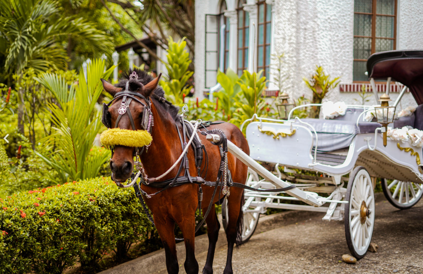 A horse and buggy awaits guests at the entrance (Photo: Netflix)