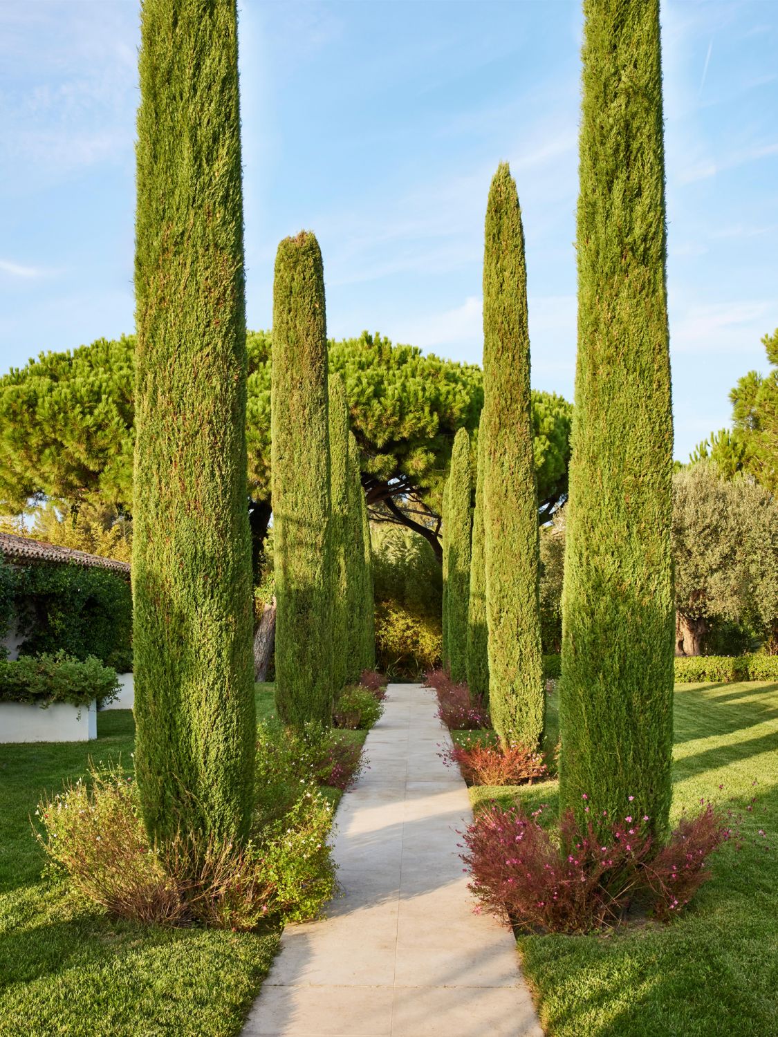 Rows of trimmed trees flank the entrance path to the villa
