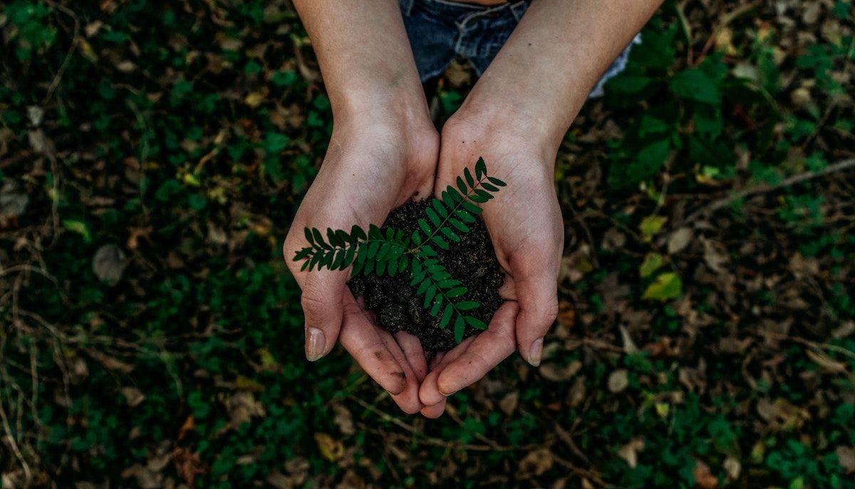 Photo: Unsplash