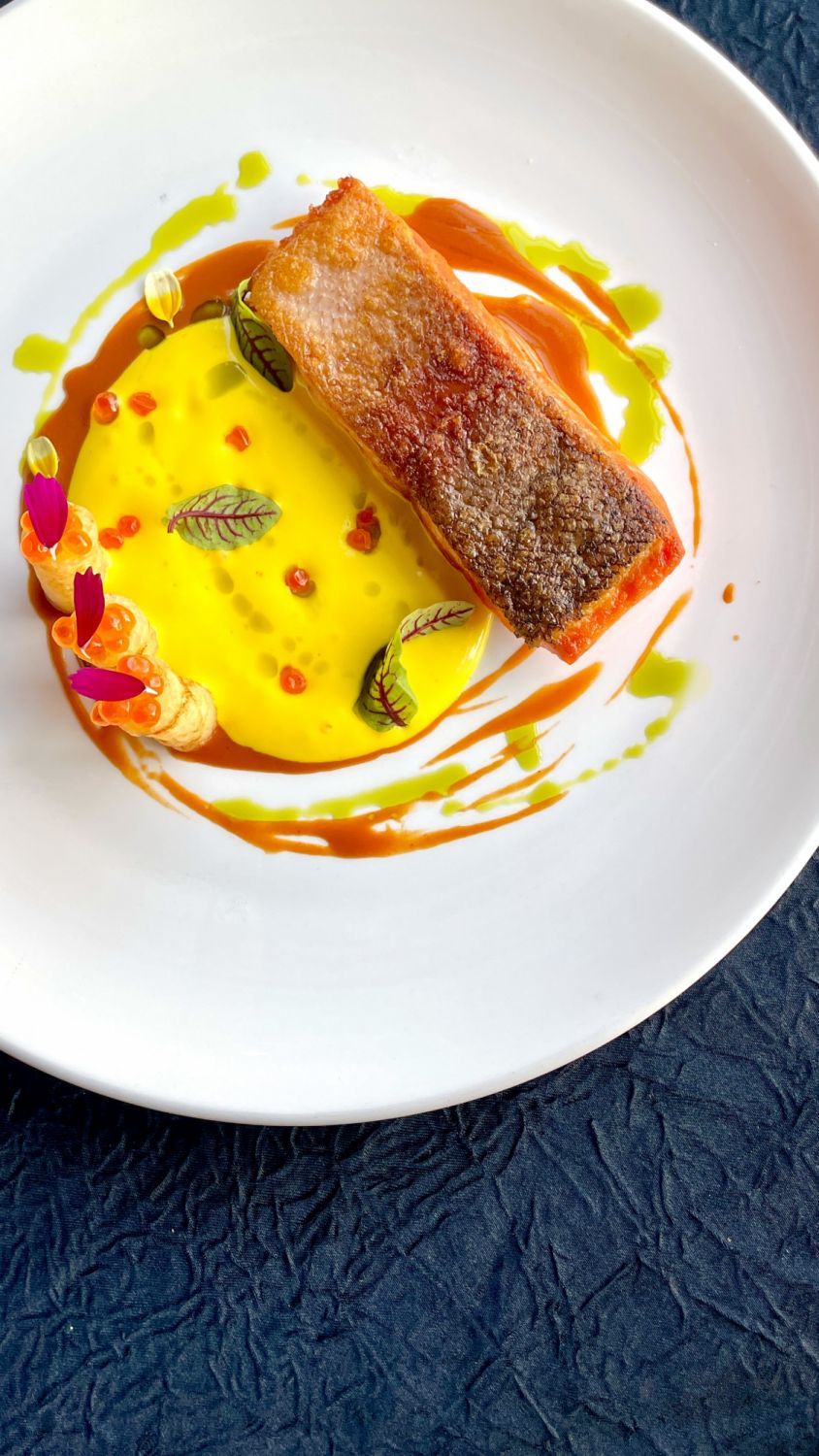 Ocean Trout (Photo: The Marini's Group)