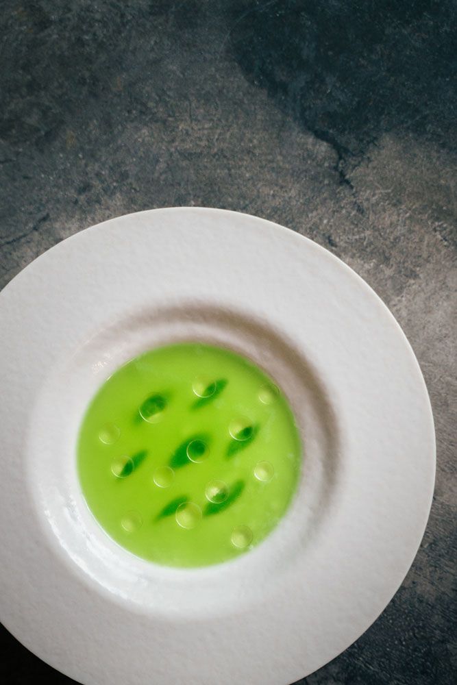 Celtuce, yuzu, green chilli and yoghurt