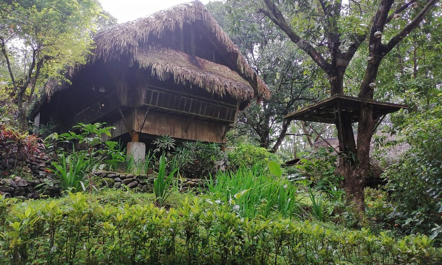 Mount Purro Nature Reserve, Rizal (Photo: The Insured Backpacker)