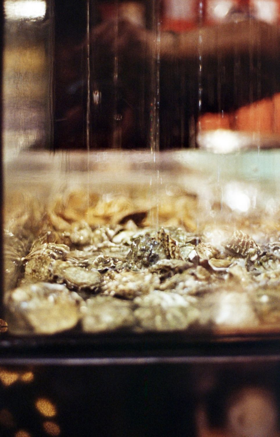 One World Deli One World Deli Oyster Shower