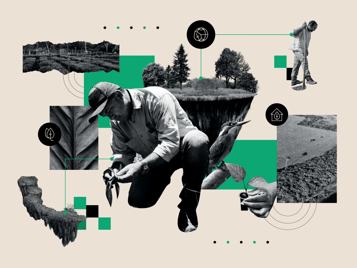 Under the Same Sky: Rolex Laureate Laury Cullen Jr on His Mission to Conserve Wildlife