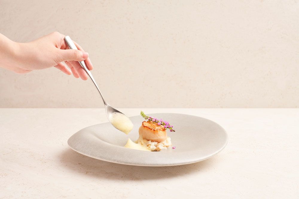 Hand-dived Hokkaido scallops