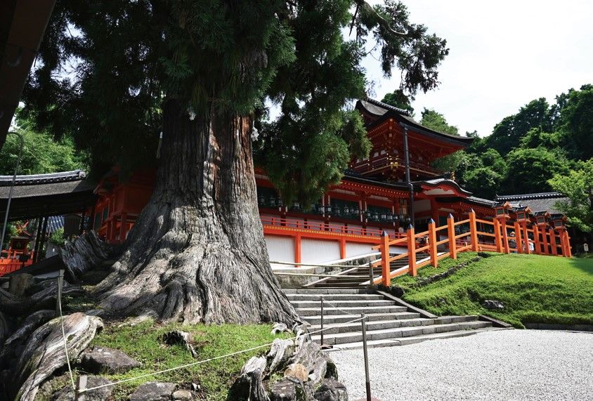 春日大社 Kasuga Taisha