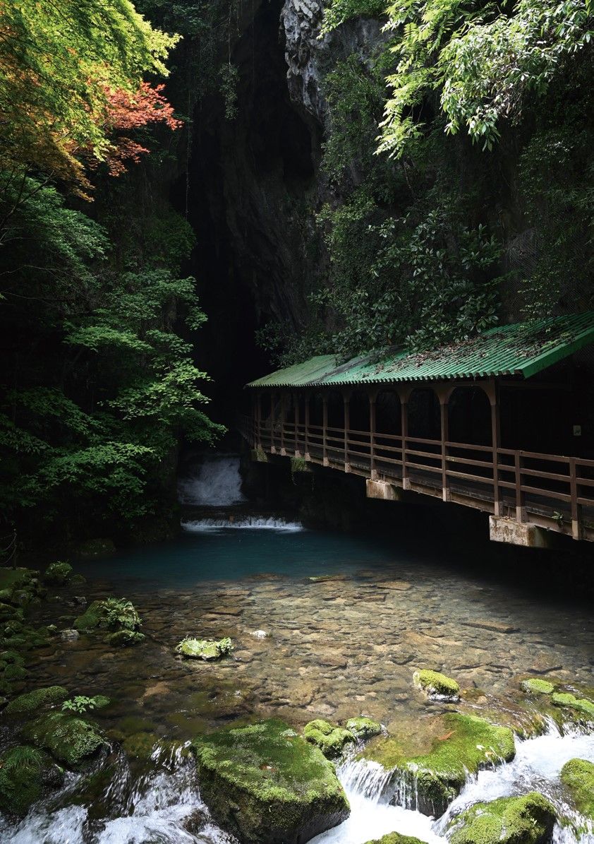 秋芳洞 Akiyoshido