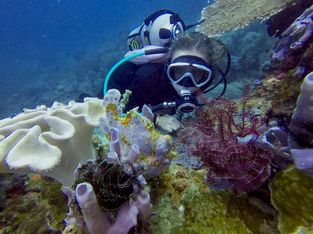 Marine Thomas diving
