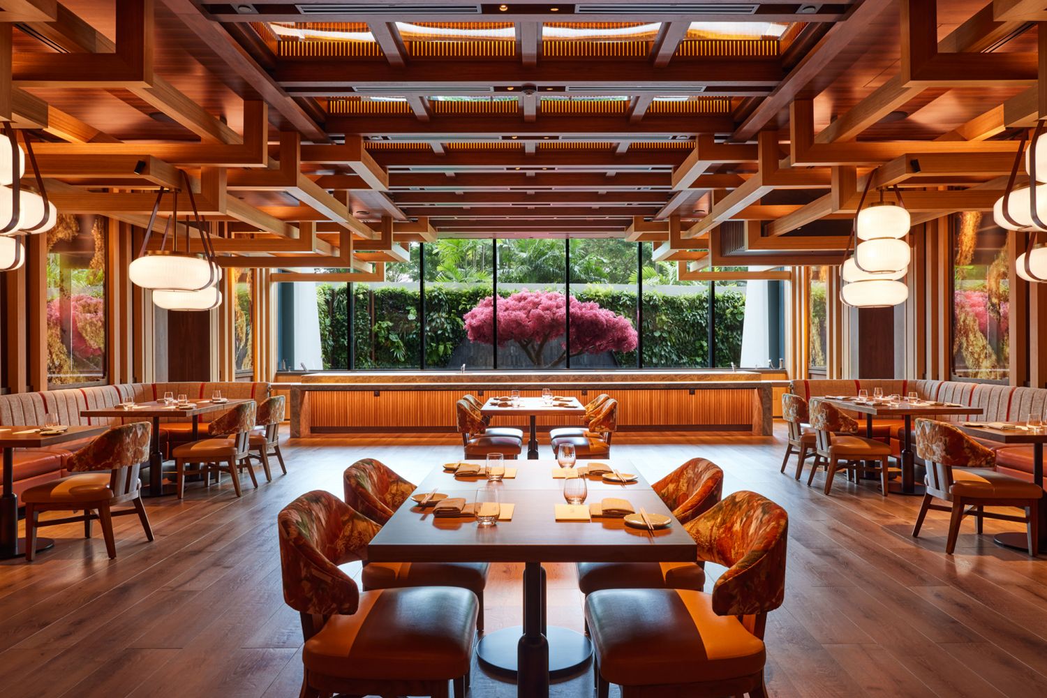 The main dining room at Wakuda, featuring a statement ceiling and an eye-catching maple tree in the outdoor courtyard