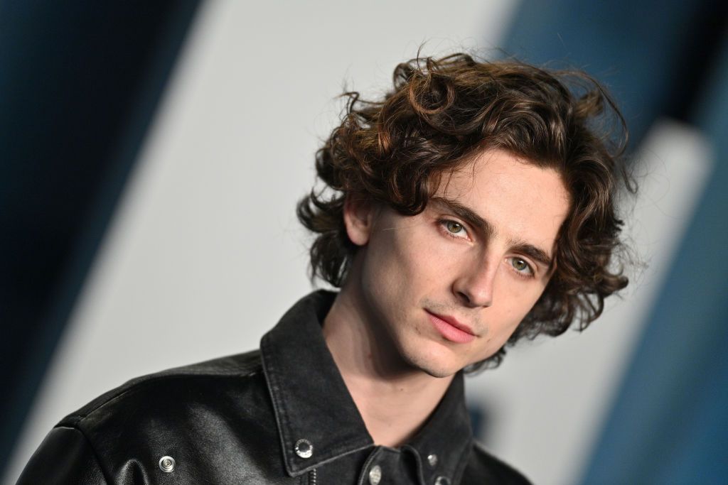 BEVERLY HILLS, CALIFORNIA - MARCH 27: Timothée Chalamet attends the 2022 Vanity Fair Oscar Party hosted by Radhika Jones at Wallis Annenberg Center for the Performing Arts on March 27, 2022 in Beverly Hills, California. (Photo by Lionel Hahn/Getty Images)