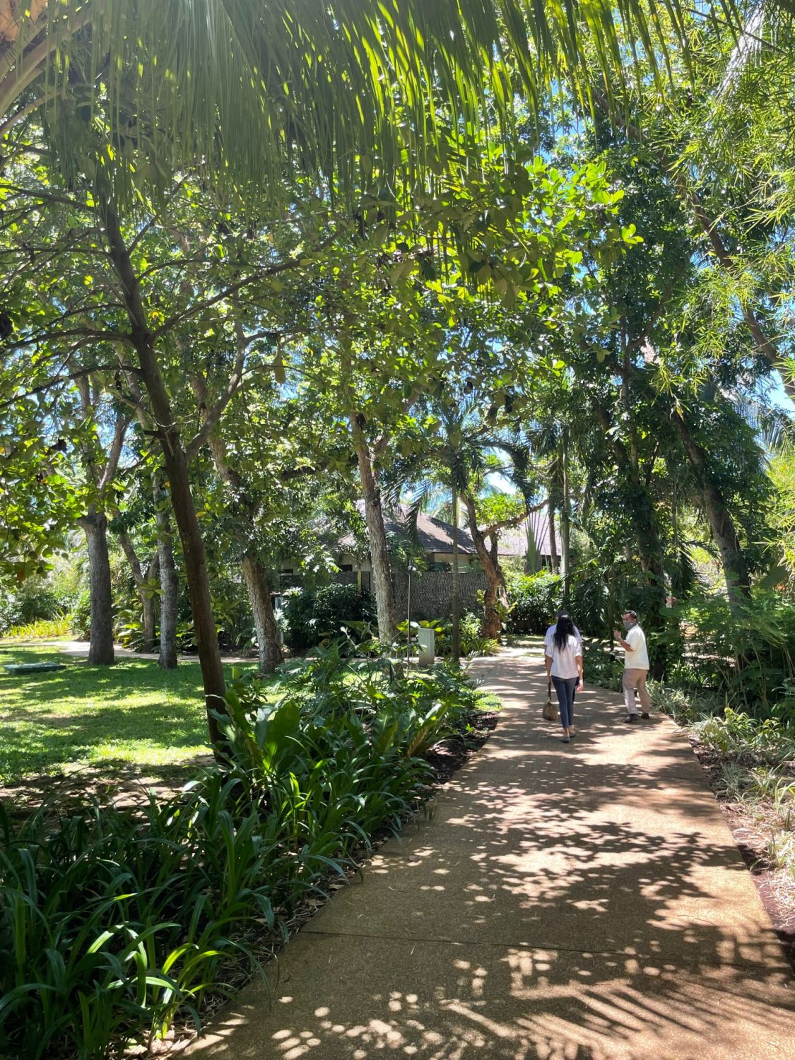 The sprawling property of Amorita Resort has its share of lush greenery, too