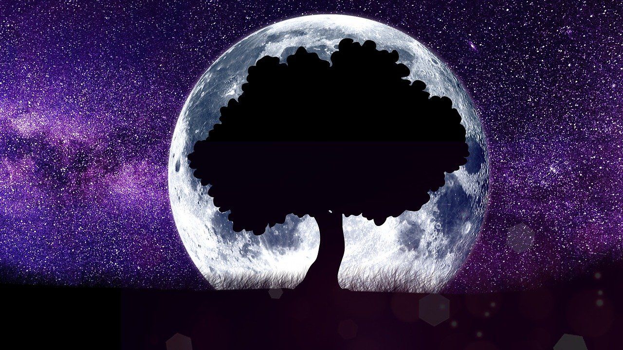 Pixabay