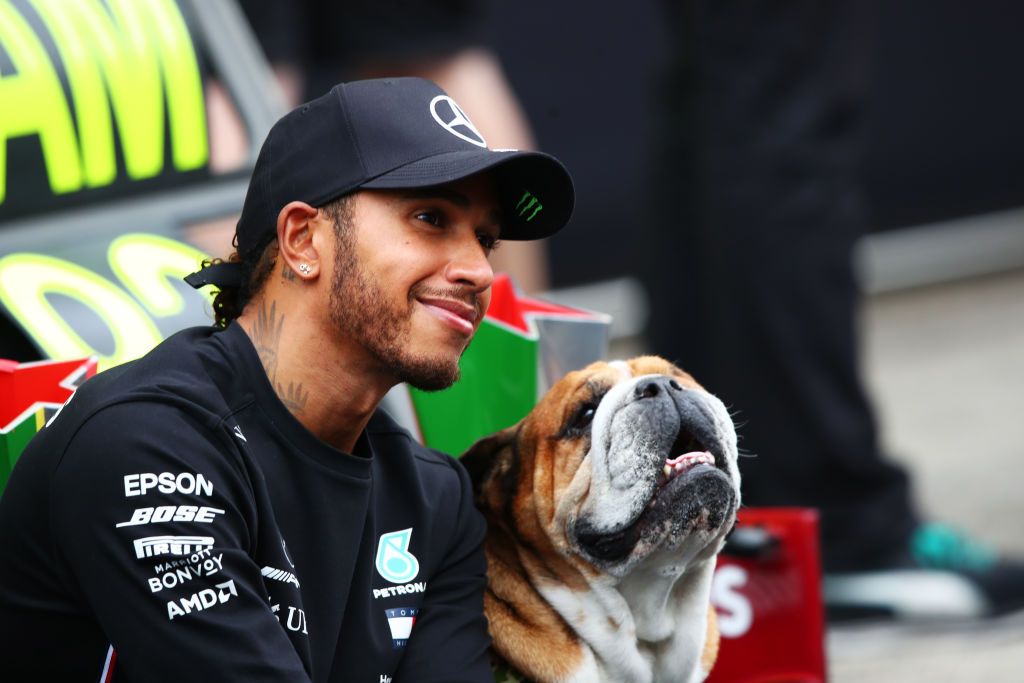 PORTIMAO, PORTUGAL - OCTOBER 25: Race winner Lewis Hamilton of Great Britain and Mercedes GP celebrates his record breaking 92nd race win with his dog Roscoe in the pitlane during the F1 Grand Prix of Portugal at Autodromo Internacional do Algarve on October 25, 2020 in Portimao, Portugal. (Photo by Joe Portlock/Getty Images)