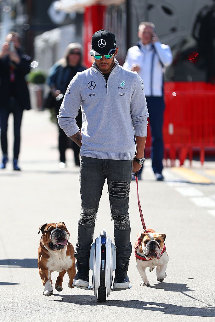 MONTMELO, SPAIN - MARCH 01:  Lewis Hamilton of Great Britain and Mercedes GP arrives in the paddock with his dogs Roscoe and Coco during day one of F1 winter testing at Circuit de Catalunya on March 1, 2016 in Montmelo, Spain.  (Photo by Mark Thompson/Getty Images)