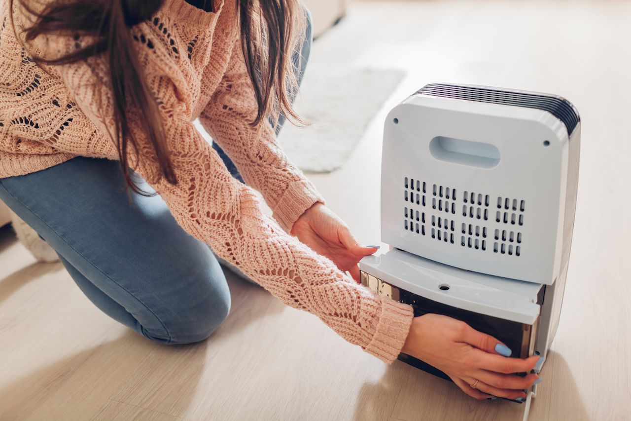 Woman changing water container of dehumidifier at home. Dampness in apartment. Modern air dryer technology