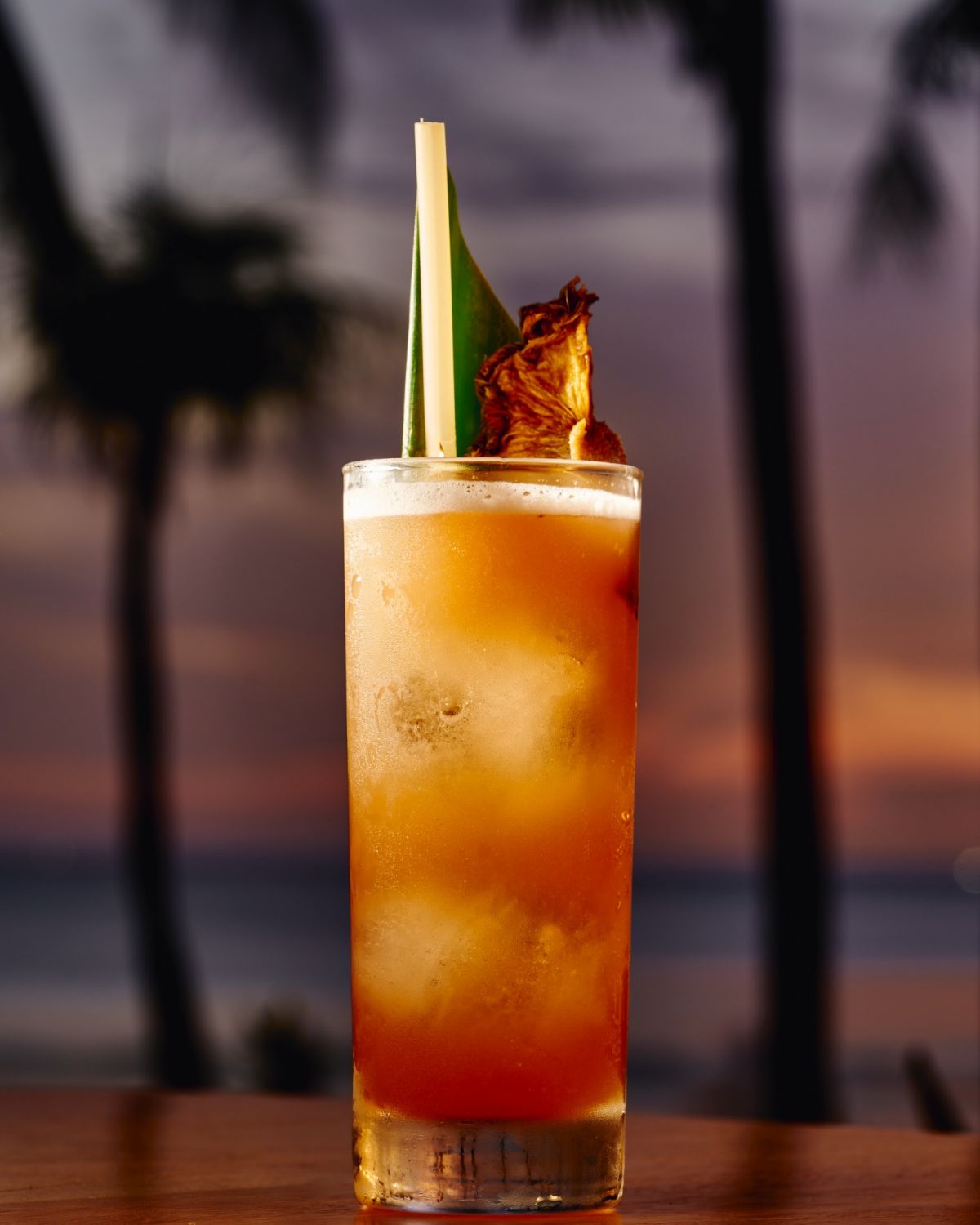 Hello Sailor Junglebird
