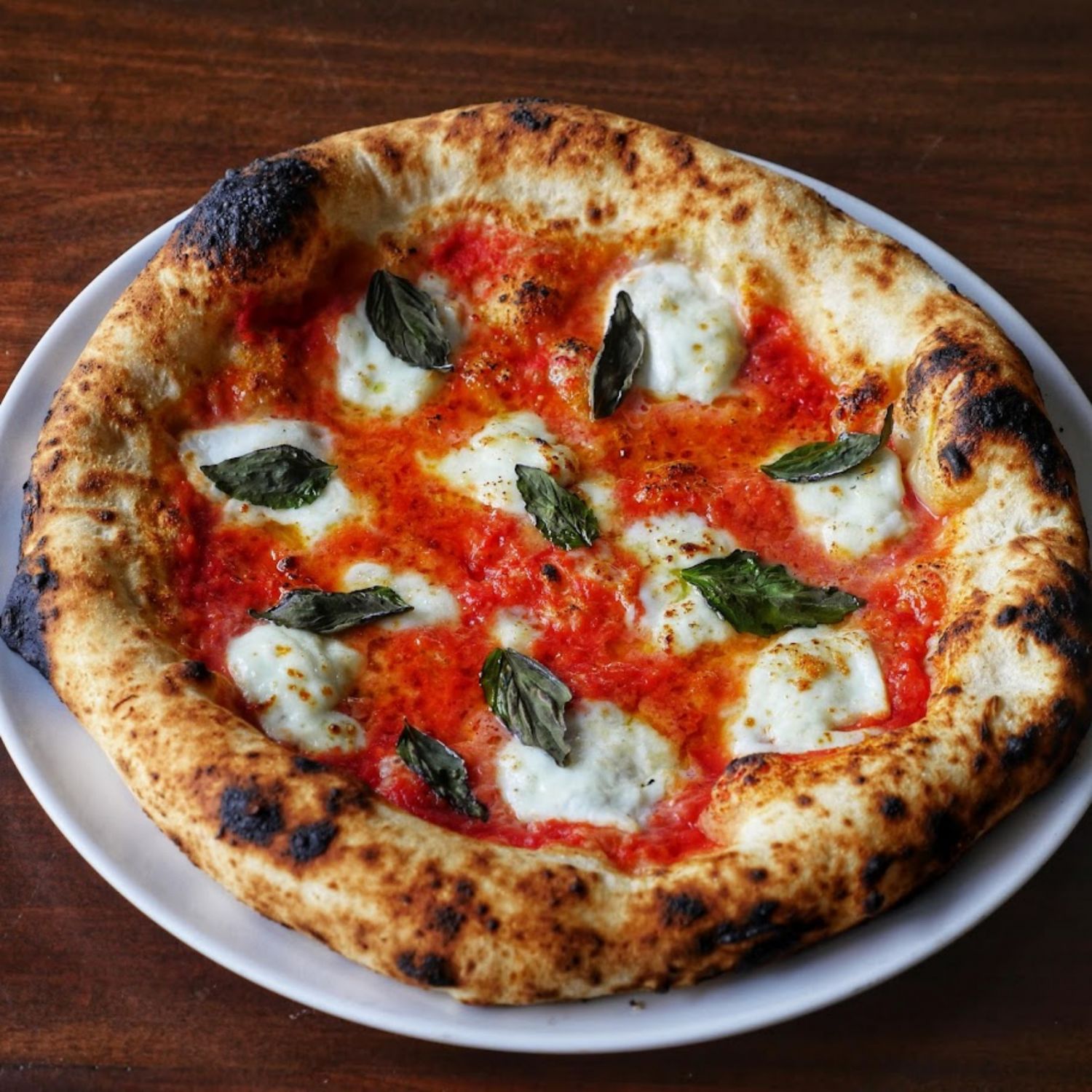 Best Italian Restaurants Gino's Margherita with Mozarella