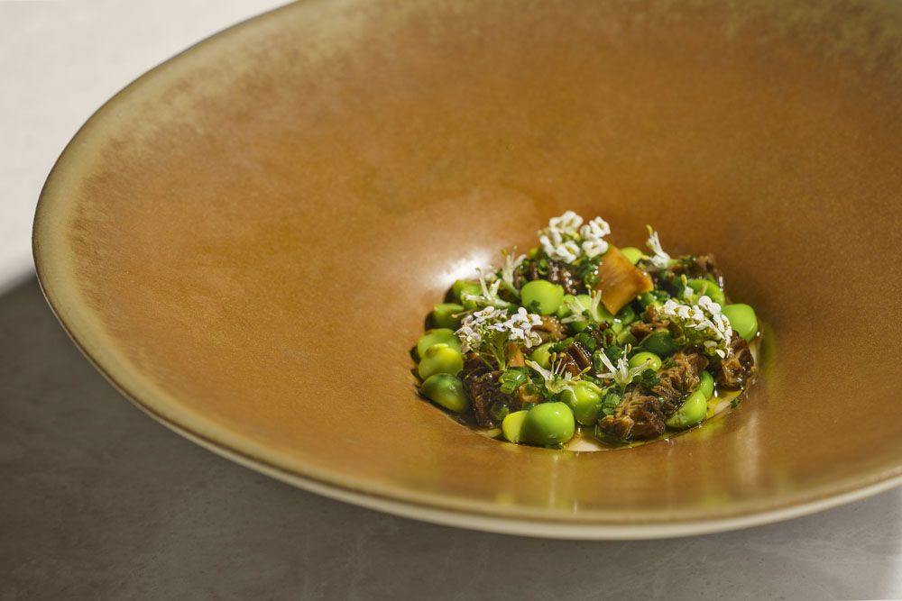 Morel mushroom custard, asparagus, spring peas, burnt butter, lovage